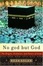 Cover of "No god but God"