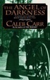 Cover of The Angel of Darkness