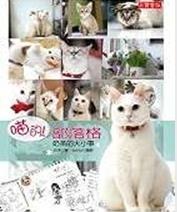 More about 喵的！部落格