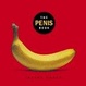 Cover of The Penis Book