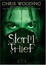 Cover of "Storm Thief"
