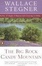 Cover of "The Big Rock Candy Mountain"