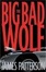 Cover of "The Big Bad Wolf"