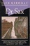 Cover of 'Doctor Sax'