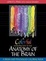 Cover of "Colorful Introduction to the Anatomy of the Human Brain, A"