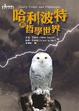 Cover of 哈利波特的哲學世界