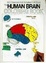 Cover of "The Human Brain Coloring Book"
