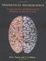 Cover of "Theoretical Neuroscience"