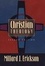 Cover of "Christian Theology"