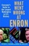 Cover of "What Went Wrong at Enron"