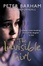 Cover of "The Invisible Girl"