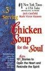 A 3rd Serving of Chicken Soup for the Soul (Chicken Soup for the Soul)