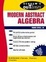 Cover of "Schaum's Outline of Modern Abstract Algebra"