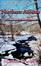 Cover of "Northern Accents"