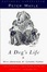 Cover of A Dog's Life