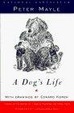 Cover of A Dog's Life