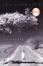 Cover of "Icy Sparks"