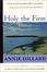 Cover of "Holy the Firm"