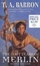 Cover of "The Lost Years of Merlin"