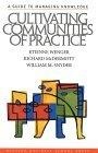 Cultivating Communities of Practice