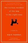 The Curious Incident of the Dog in the Night-Time