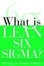 Cover of "What is Lean Six Sigma"