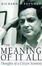 Cover of The Meaning of It All