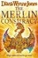 Cover of "The Merlin Conspiracy"