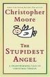 Cover of The Stupidest Angel