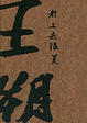 Cover of 王朔文集.看上去很美