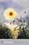 Cover of Silent Spring