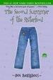Cover of The Second Summer of the Sisterhood
