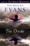 Cover of "The Divide"