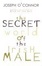 Cover of The Secret World of the Irish Male