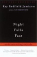 Cover of Night Falls Fast