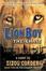 Cover of Lionboy