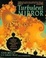 Cover of 'Turbulent Mirror'
