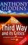 Cover of "The Third Way and Its Critics"