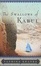 Cover of "The Swallows of Kabul"