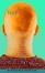 Cover of "Feed"
