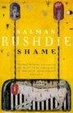 Cover of Shame