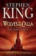 Cover of The Dark Tower, Book 5