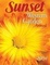 Cover of Sunset Western Garden Annual 2004