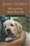 Cover of "The Lord God Made Them All"