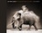 Cover of "On This Earth"