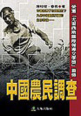 中國農民調查