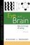 Cover of "Eye and Brain"
