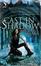 Cover of "Cast In Shadow"