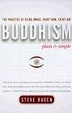 Cover of Buddhism Plain and Simple
