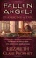 Cover of 'Fallen Angels and the Origins of Evil'
